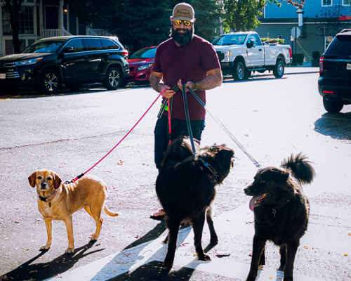 Sleepy Hollow, NY - Oct 2023